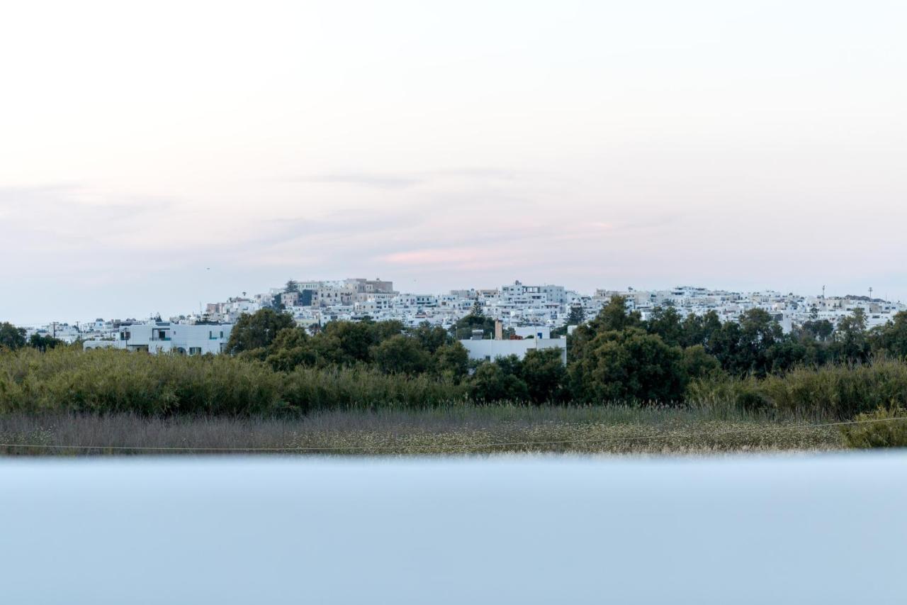 Isalos Villas Naxos Naxos City Экстерьер фото